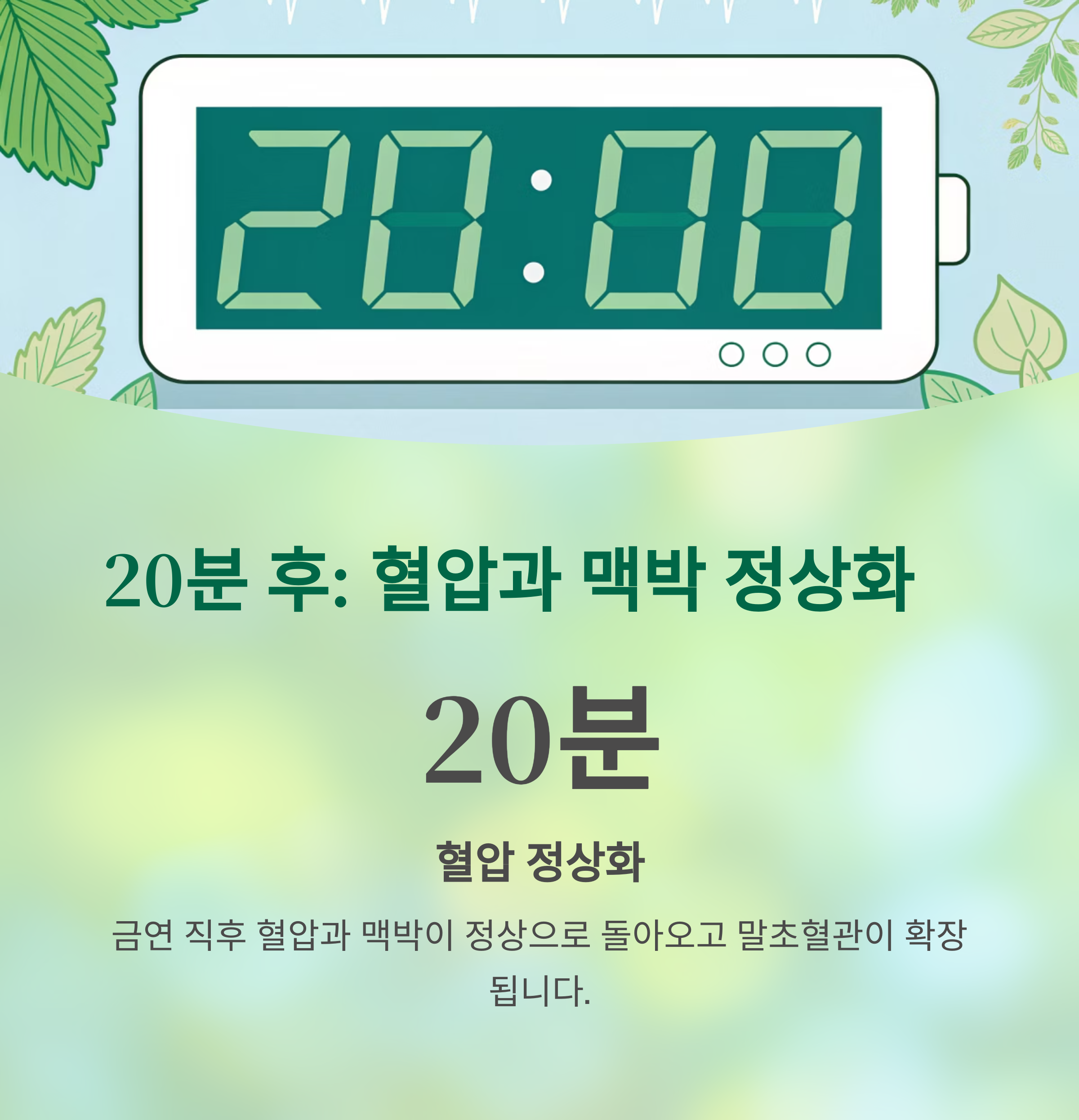 금연 후 몸에서 일어나는 기적, 시간대별 회복의 모든 것 - 금연 후 내 몸, 얼마나 좋아질까? 시간별 변화가 궁금하다면 - 20분 후, 혈압과 맥박이 정상으로 돌아옵니다 금연 후 몸에서 일어나는 기적, 시간대별 회복의 모든 것 - 금연 후 내 몸, 얼마나 좋아질까? 시간별 변화가 궁금하다면 - 20분 후, 혈압과 맥박이 정상으로 돌아옵니다