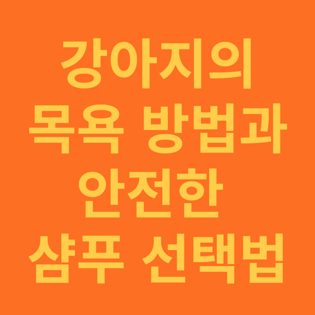 강아지의 목욕 빈도와 안전한 샴푸 선택법