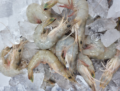 해운호수산 대하