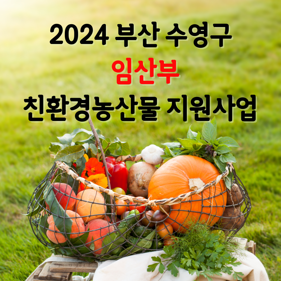 부산 수영구 임산부를 위한 친환경농산물 지원사업