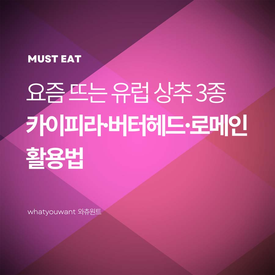 요즘 뜨는 유럽 상추 3종: 카이피라·버터헤드·로메인 활용법