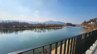 양평 가볼만한곳 베스트10 두물머리 연잎핫도그_16