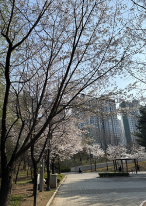 평택 아기랑 가볼 만한 곳 BEST 5! 직접 여러 번 다녀온 곳만 정리