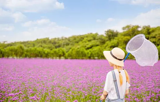 에코랜드 테마파크