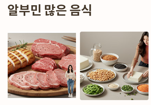 알부민 많은 음식