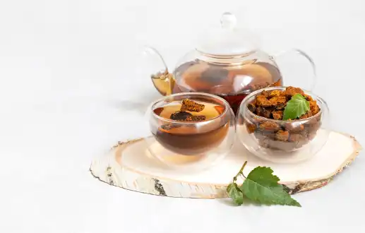 차가버섯 효능효과 영양성분 주의점