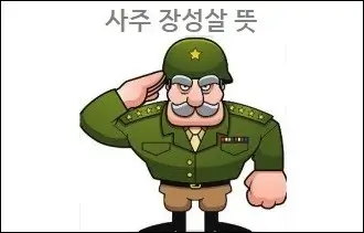 사주 장성살 뜻