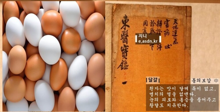 계란(달걀)효능 13가지와 부작용 총정리...음식건강이야기 아홉번째