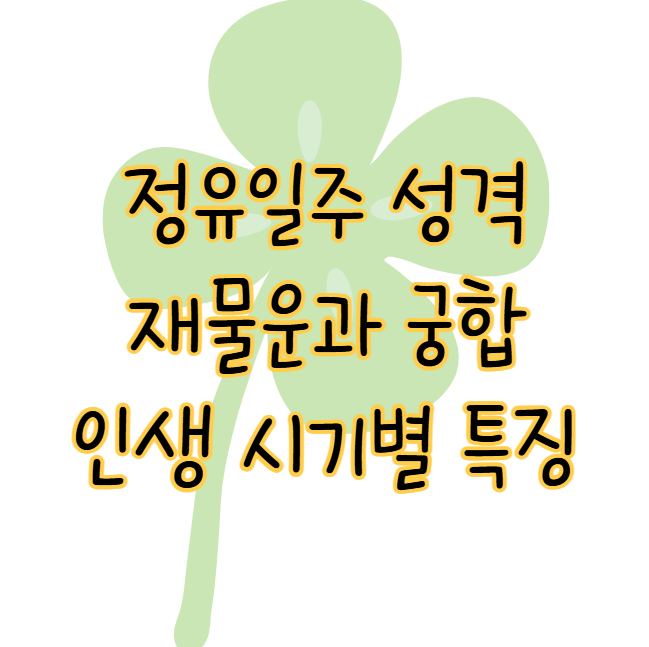 정유일주 재물운 궁합과 인생의 시기별 특징과 성격 표지
