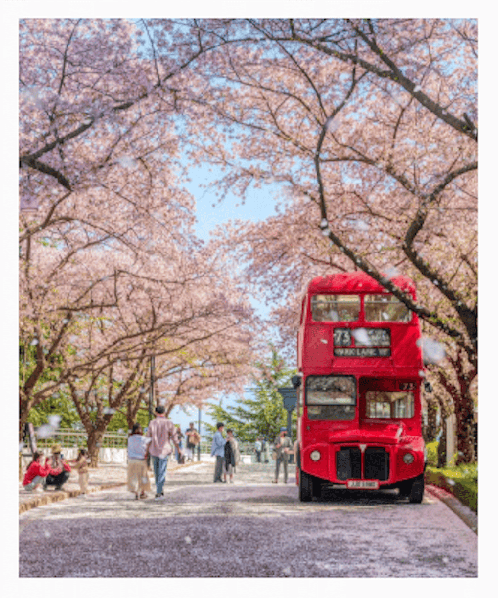 이월드 2층버스