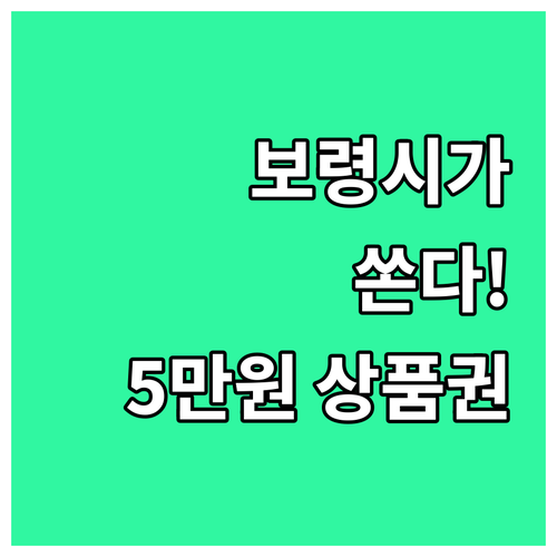 보령시가 쏜다! 2025 전입자 대상..