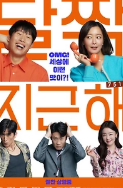 설 특선 영화 편성표