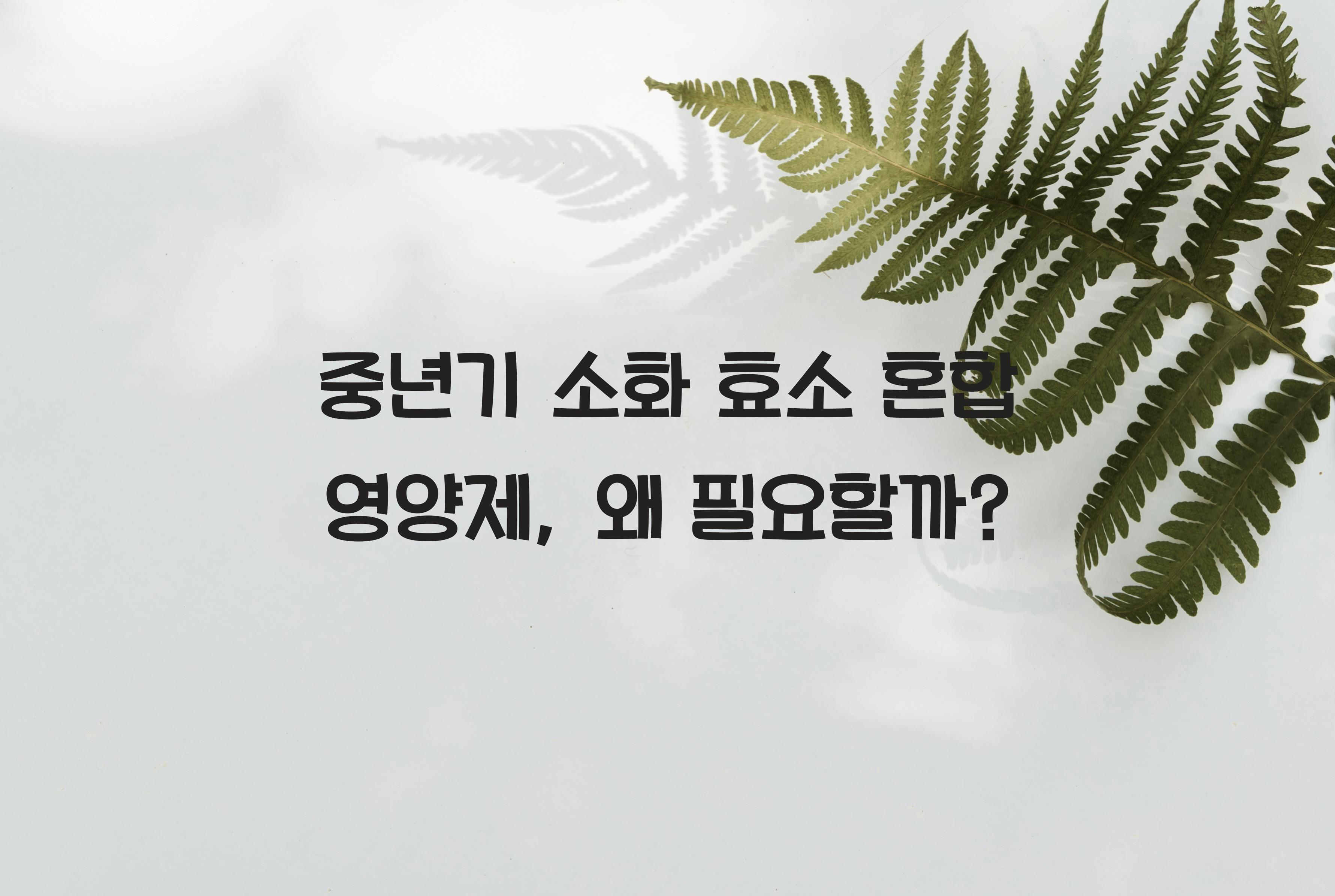 중년기 소화 효소 혼합 영양제