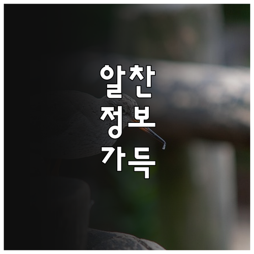 개방형 냉장고 문달기 2025 최대 ..