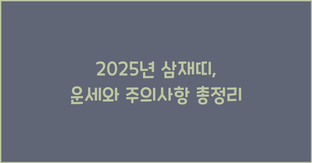 2025년 삼재띠