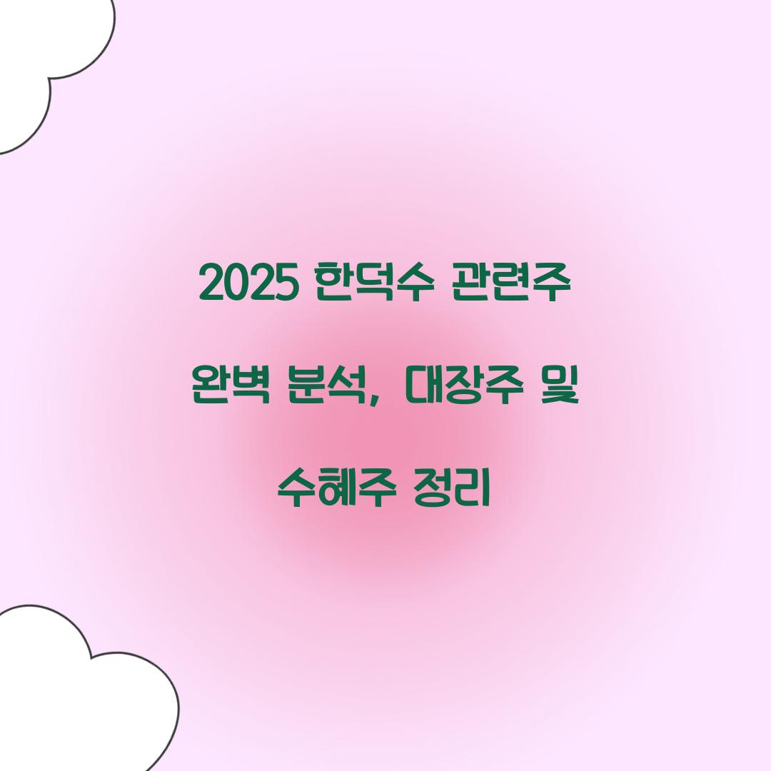 2025 한덕수 관련주 완벽 분석