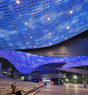 BIFF 2025 라인업 분석과 트렌드 (부산국제영화제, 2025 영화트렌드)