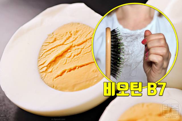 탈모 비타민 비오틴 음식 탈모에좋은비타민