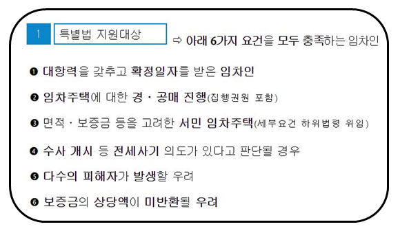 전세사기 특별법 지원대상