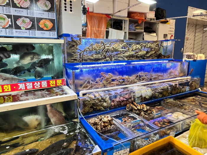 수족관이 엄청 많다