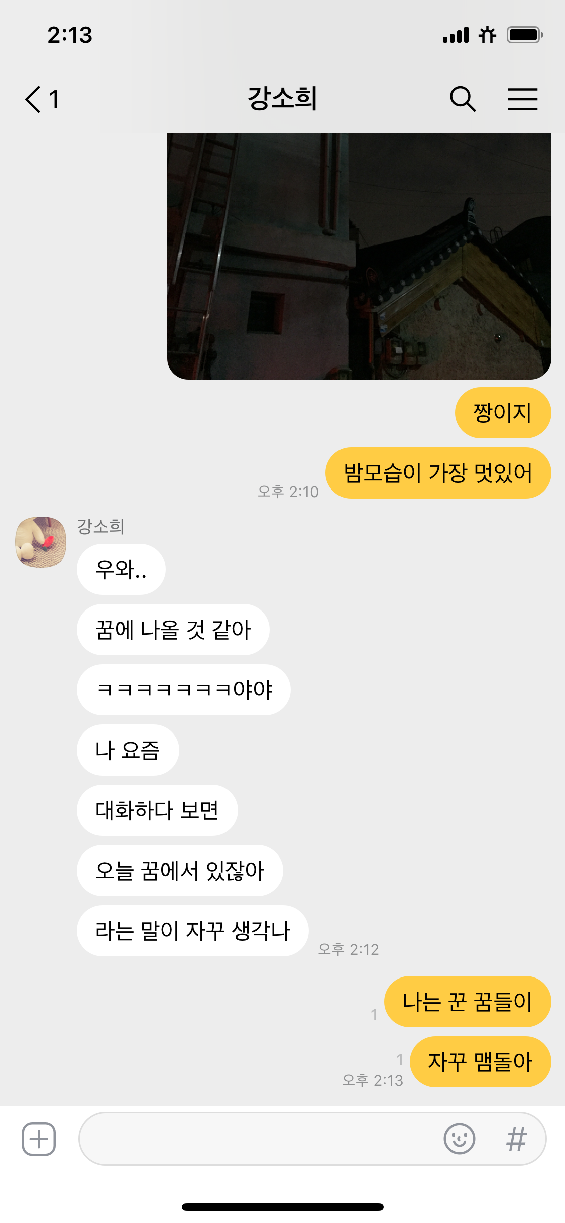 screenshot_chat_detail