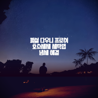 퍼실 다우니 프로쉬 효소세제 세탁법 냄새 해결