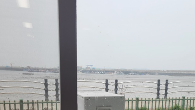 남당항새조개축제