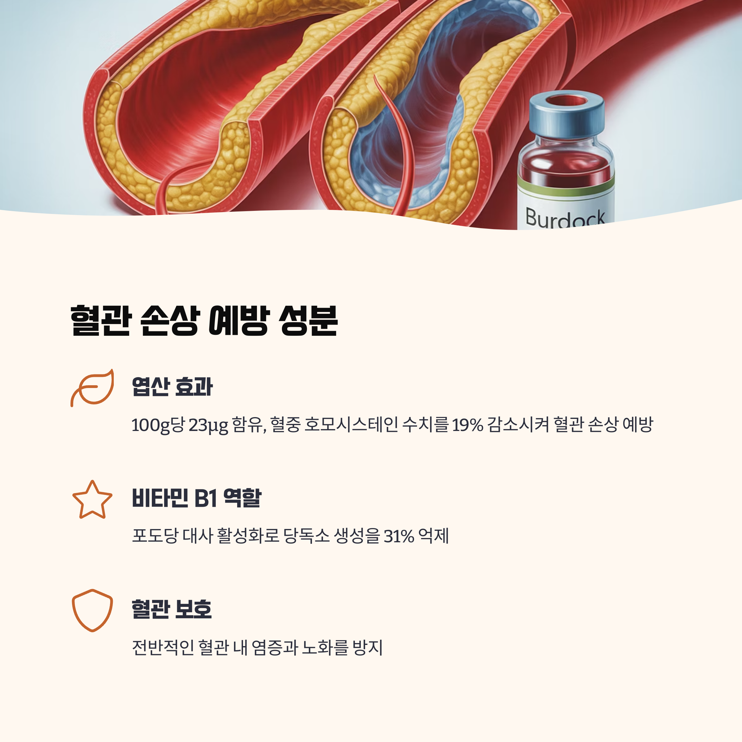 혈관 손상 예방