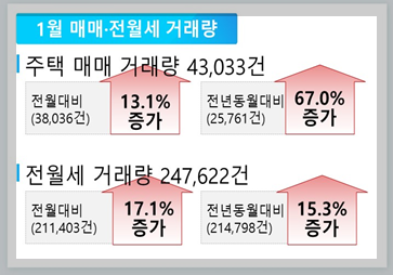 1월 전월세 거래량