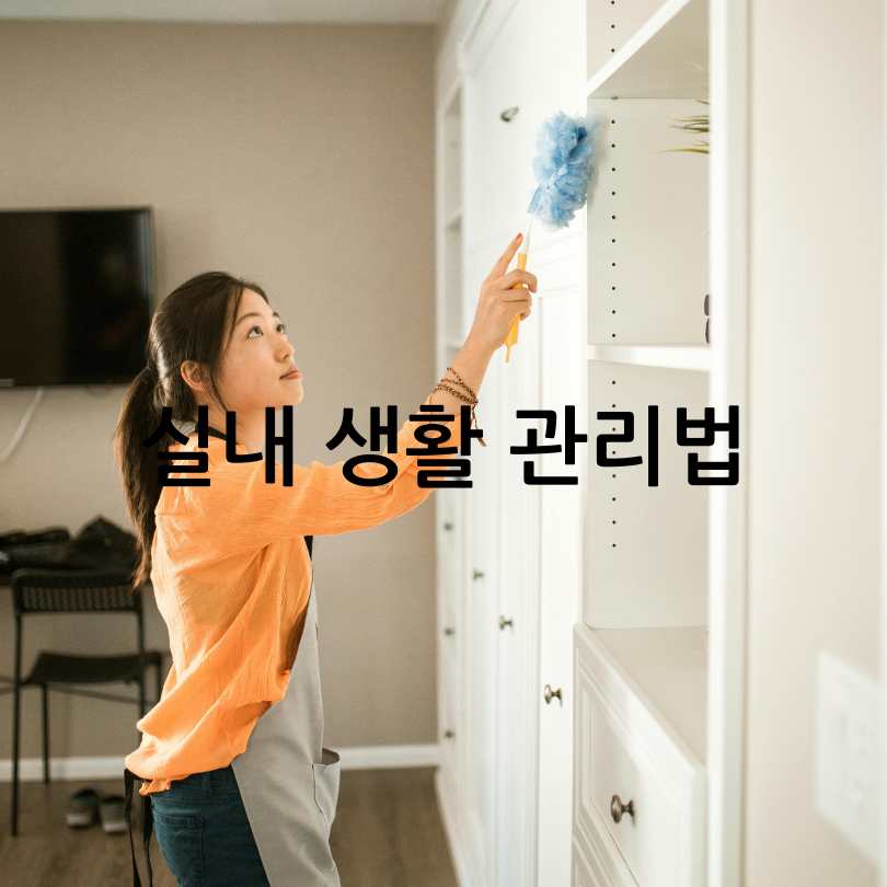 황사와 미세먼지 차이점