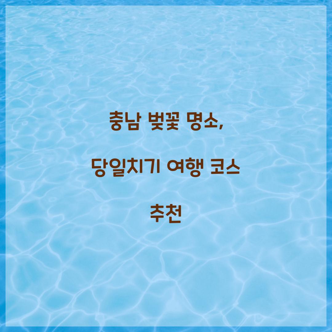 충남 벚꽃 명소