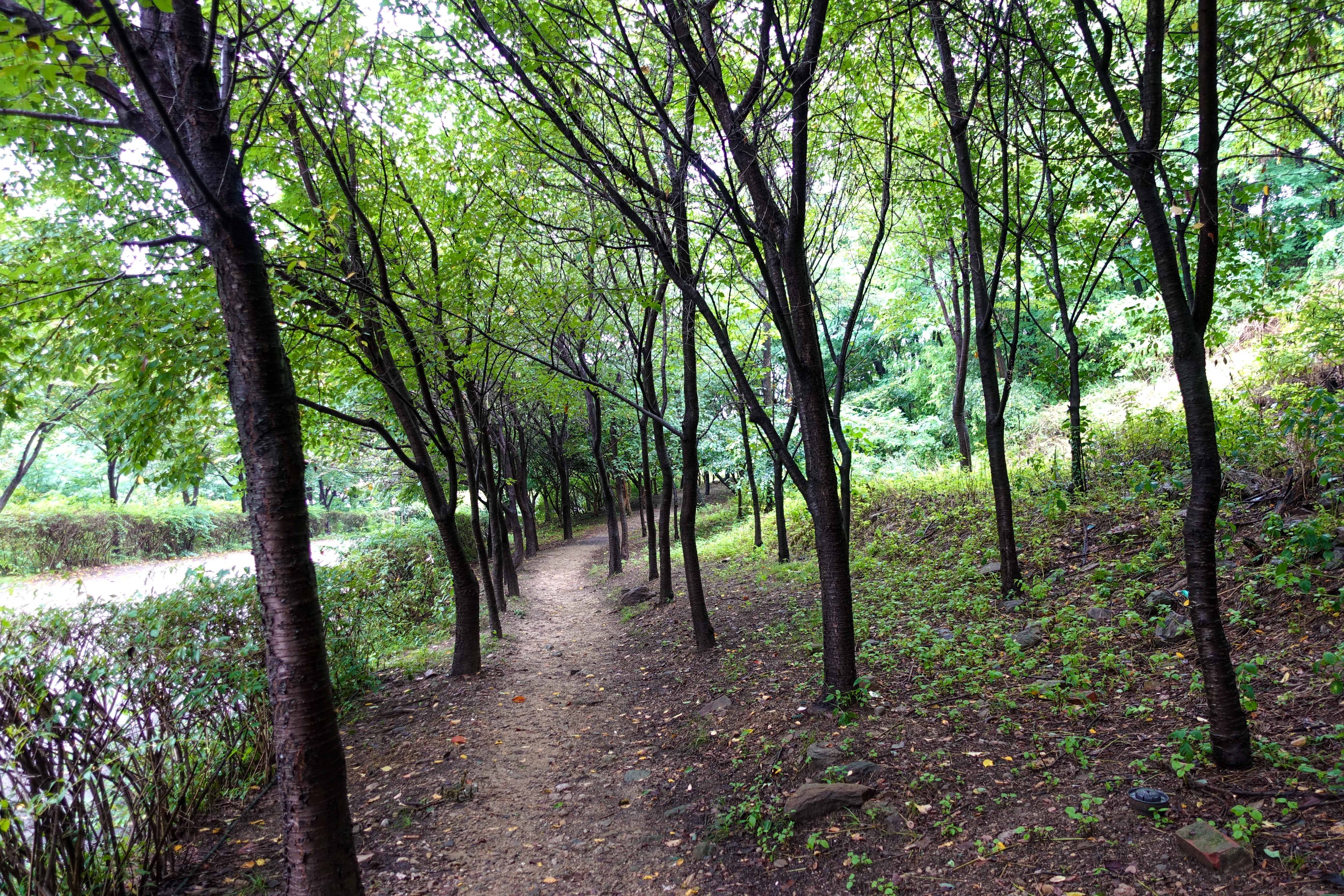 하늘 공원