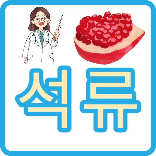 석류 콜라겐 석류 효능 석류즙 석류 먹는법 석류 가격 석류 젤리 석류보관