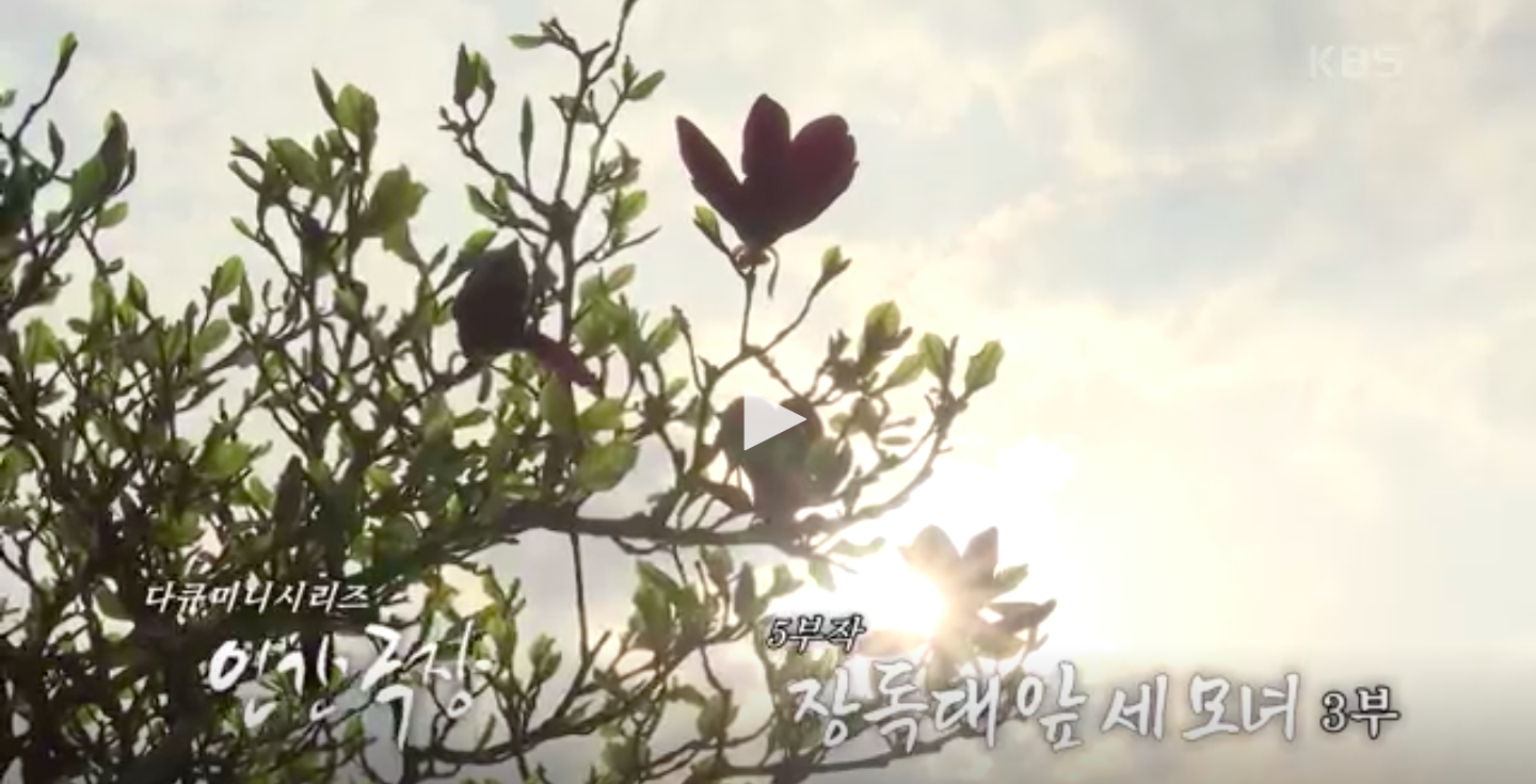KBS 인간극장 '장독대 앞 세 모녀' 3부 - 장맛을 잇는 세 여인의 감동 스토리