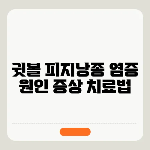 귓볼 피지낭종 염증 원인 증상 치료법