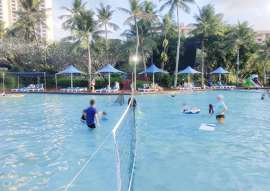 배구경기를 즐기는 어른들