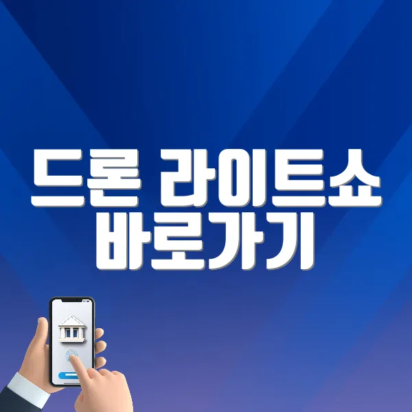 드론 라이트쇼 바로가기 (https://www.seouldroneshow.com/)
