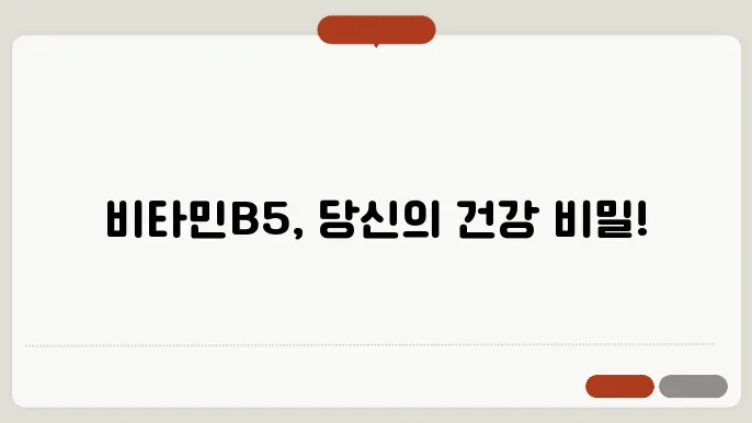 뻌좌버 마타폰B5 하루장량
