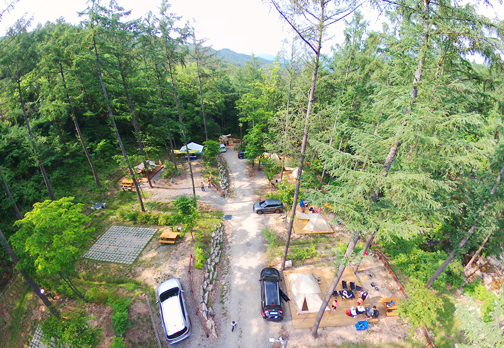 강원도 화천 숲속 야영장 주변 맛집 카페 마트 특산물 오일장 캠핑 강아지 동반 정보