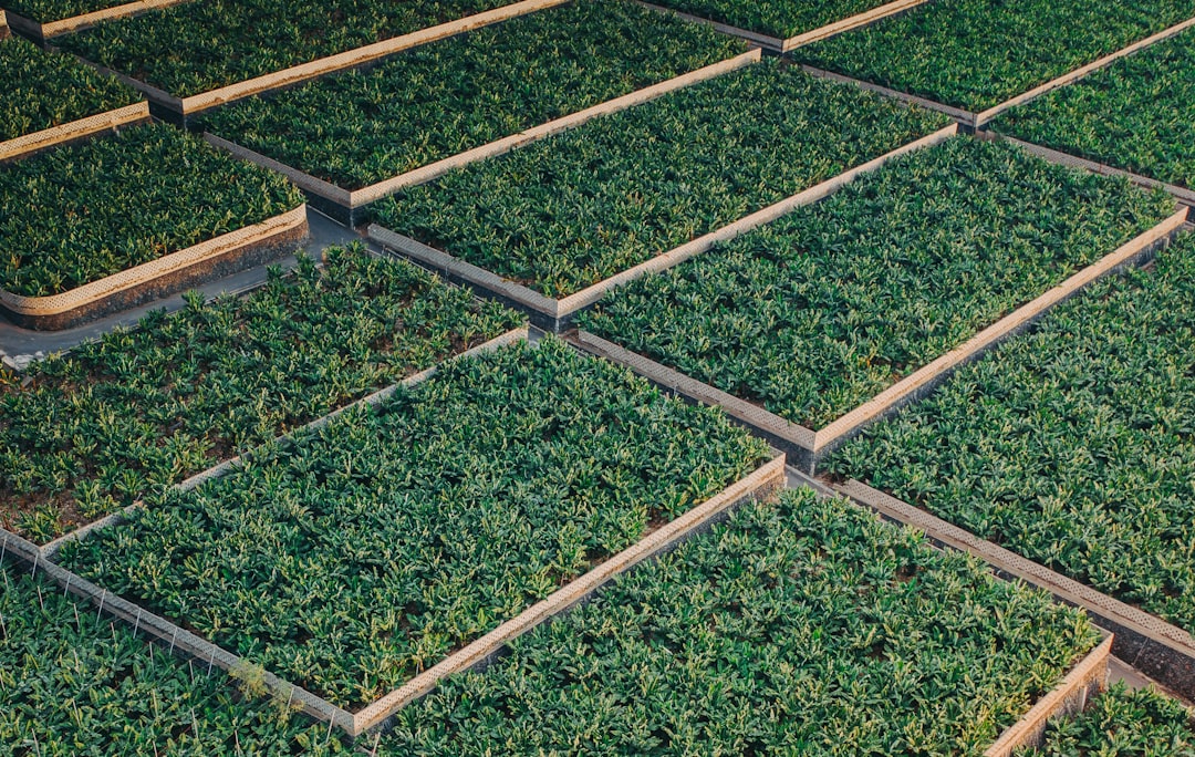 Smart Farm