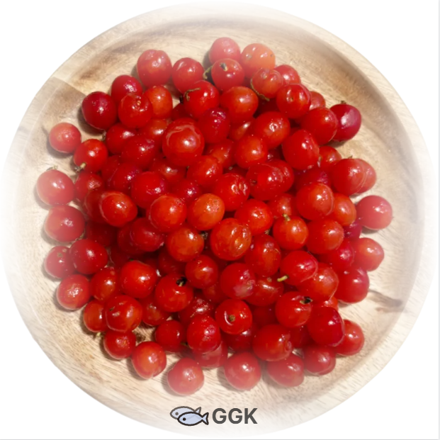 앵두효능과 앵두주 앵두청 만들기에 관한 이미지