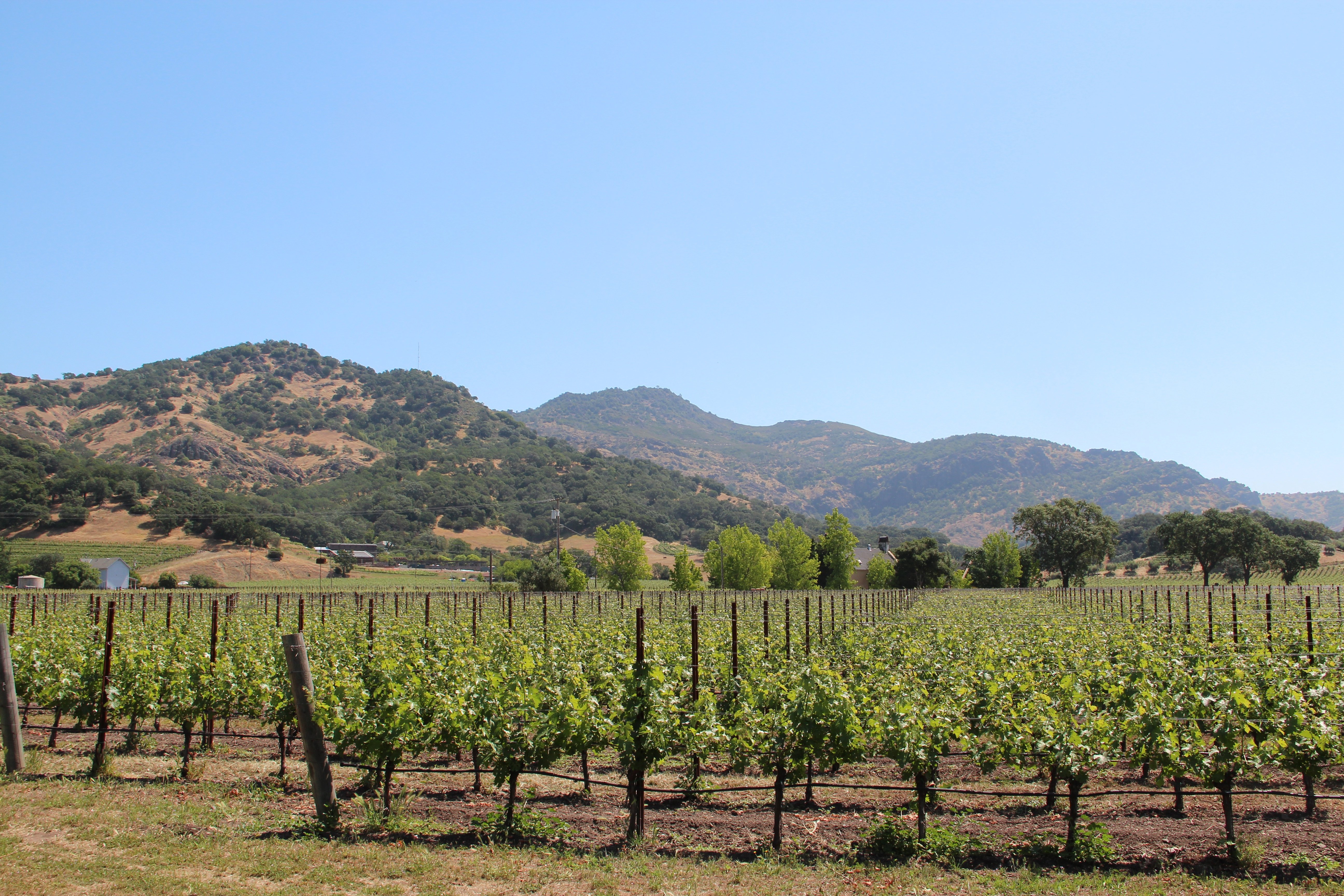 San Francisco Winery