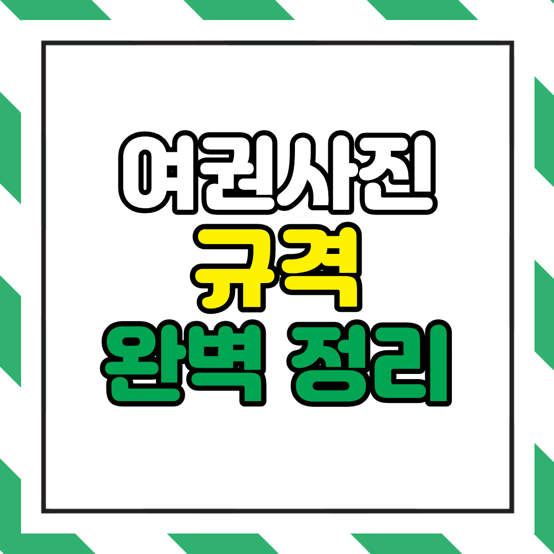 여권사진 규격