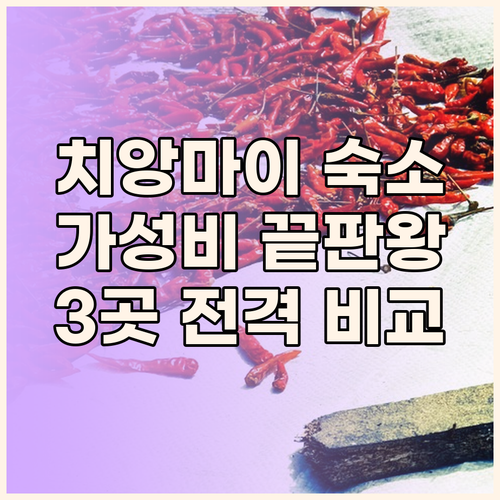 가성비 갑 치앙마이 숙소 추천! 트래