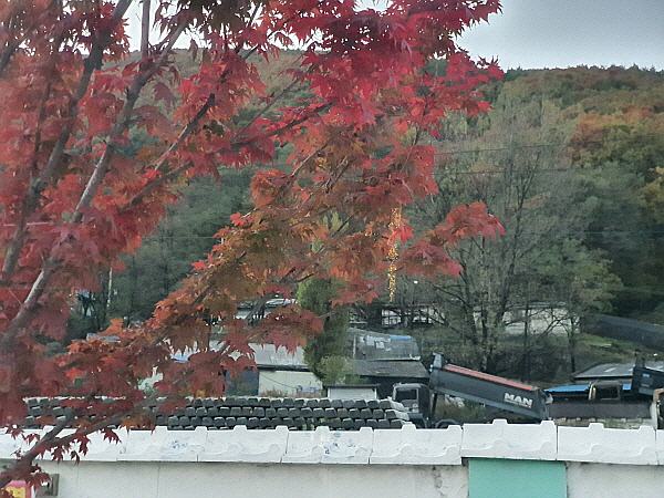 강원도 태백시 철암동 풍경 사진