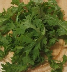 쑥갓의 효능 부작용 고르는법 칼로리 꽃