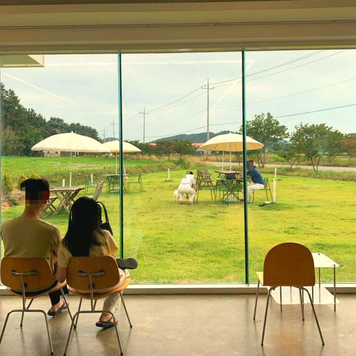 푸른 야외정원이 보이는 카페