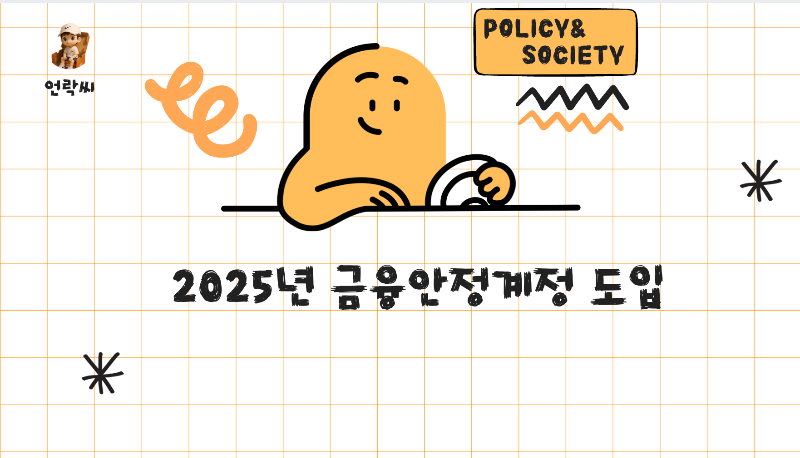 금융안정계정 도입