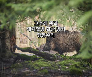고수레 뜻과 돼지열병 확산 방지 행동수칙