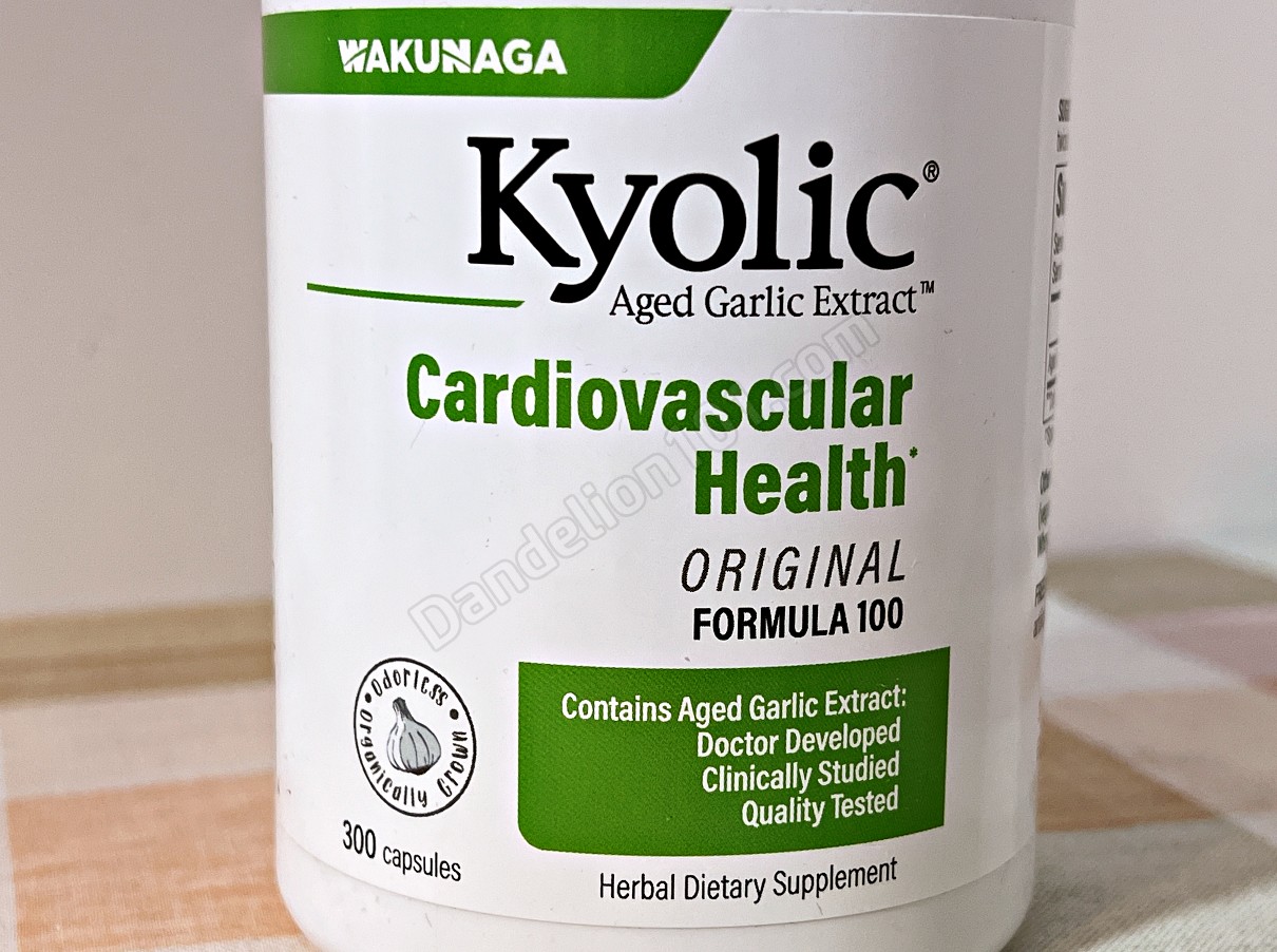 쿄릭® 숙성마늘 추출물 오리지널 포뮬러 100 (WAKUNAGA Kyolic® Aged Garlic Extract Original Formula 100) 전면 표지